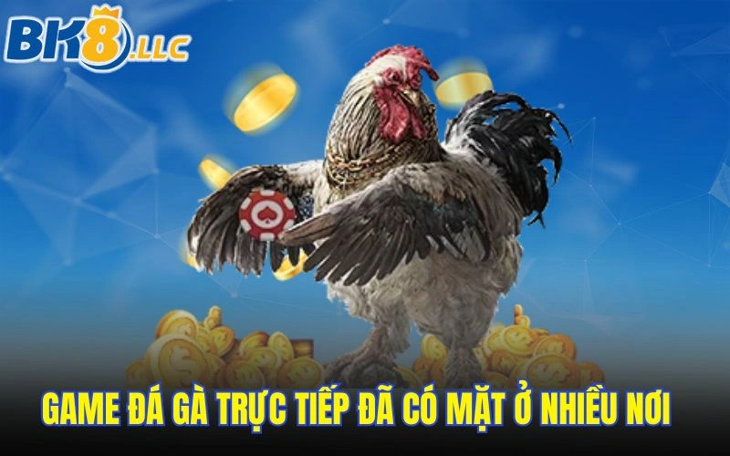 Game đá gà trực tiếp đã có mặt ở nhiều nơi