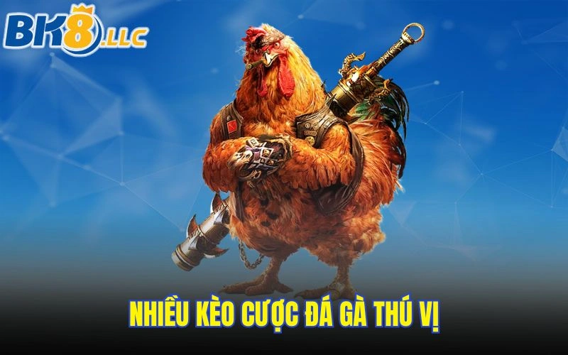 Nhiều kèo cược đá gà thú vị