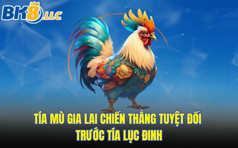 Tía mù Gia Lai chiến thắng tuyệt đối trước tía Lục Đinh