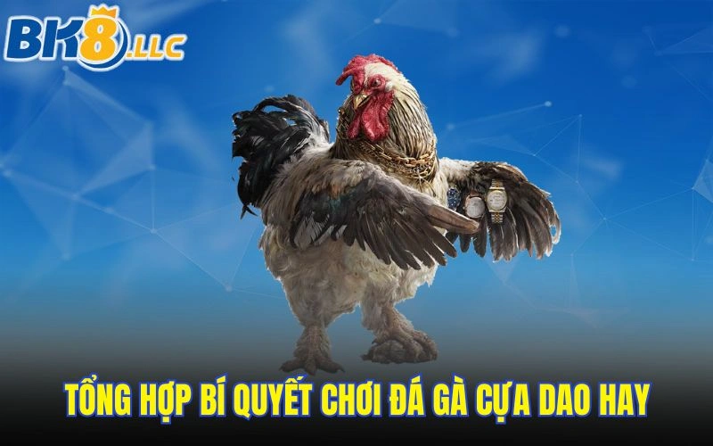 Tổng hợp bí quyết chơi đá gà cựa dao hay